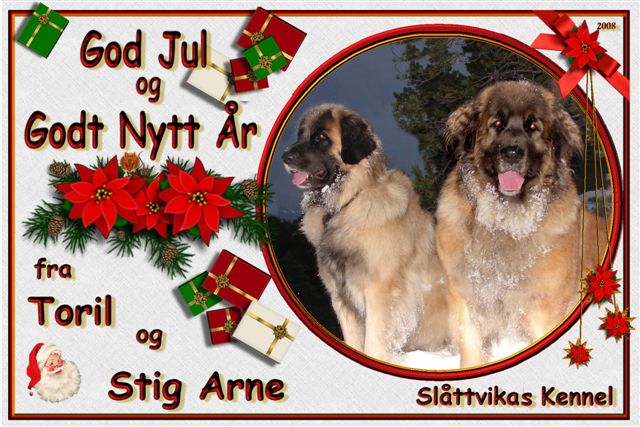 Slåttvika