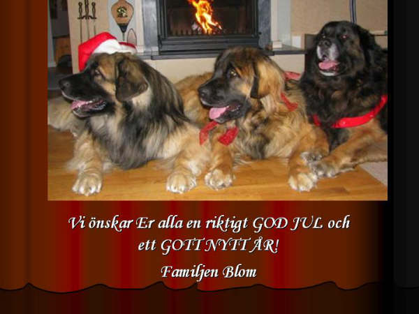 familien Blom